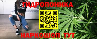 ECSTASY Новозыбков