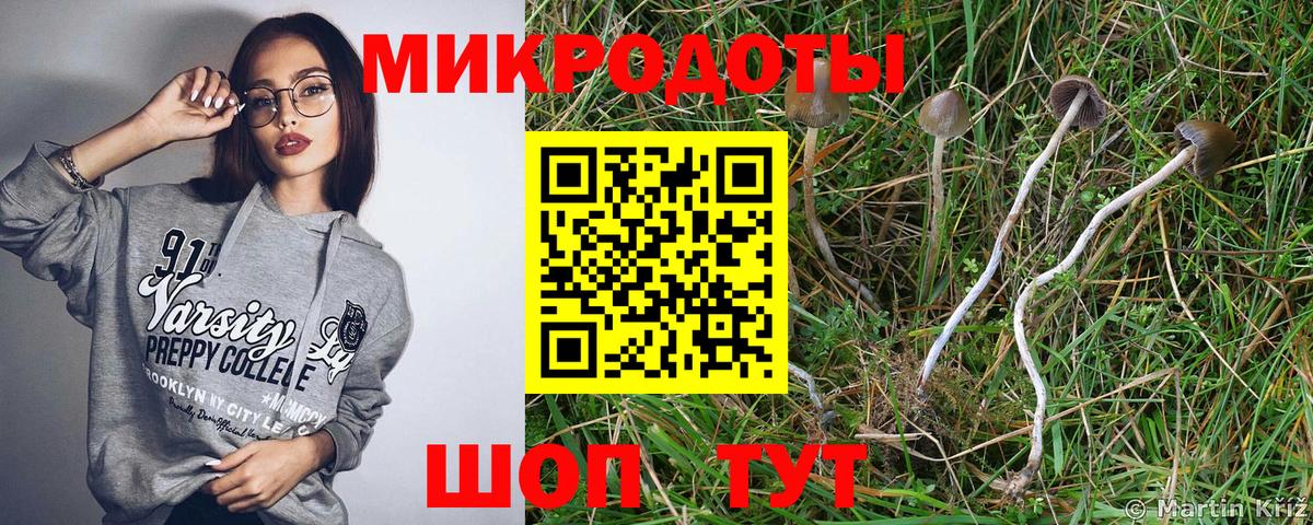дарнет шоп  Галлюциногенные грибы Cubensis  Вход с VPN  Соль-Илецк 